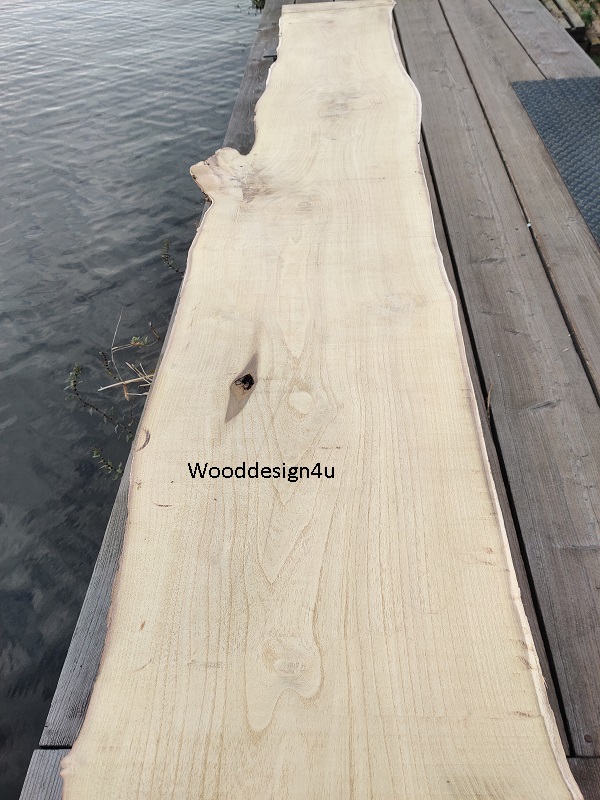 Acacia houten wandblad