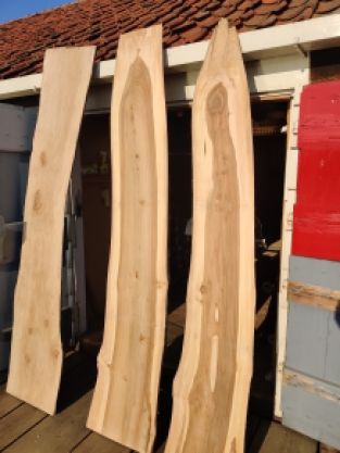 Elm wood, trunk part